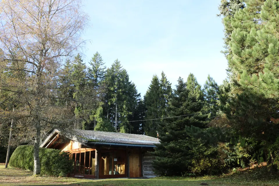 Log-cabin sauna in the garden
