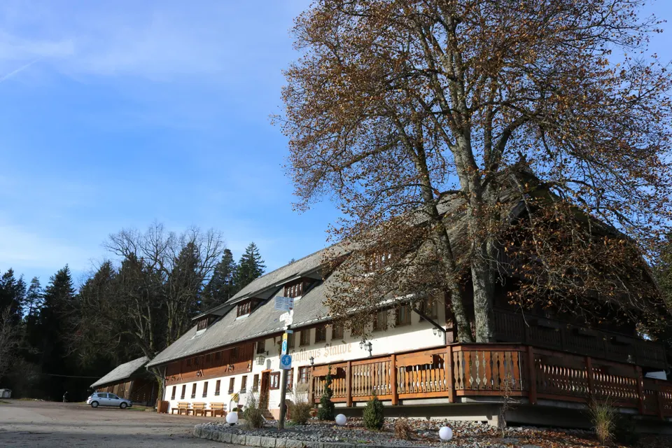 Entrance and terrace